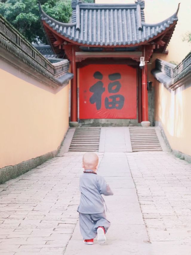 新昌大佛寺|隱藏在壁立千仞上的千年古剎！