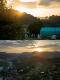 溫嶺 | 後嶺花開