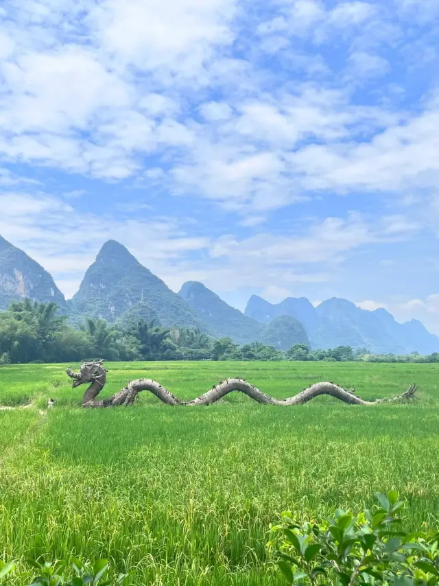 Coming to Yulong River, you will find yourself on a river channel as green and clear as jade, and you won't want to leave once you're here!