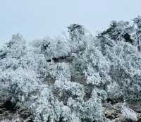 九宮山初雪|武漢周邊不容錯過的霧凇美景