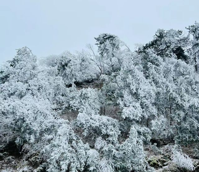 九宮山初雪|武漢周邊不容錯過的霧凇美景