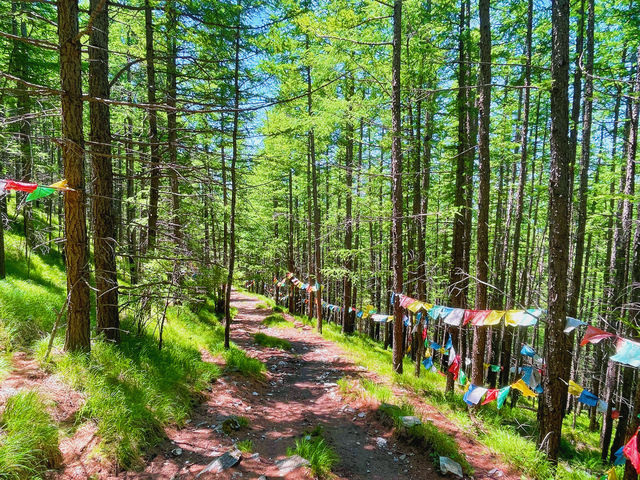 忻州市|五台山朝台大圓滿全攻略