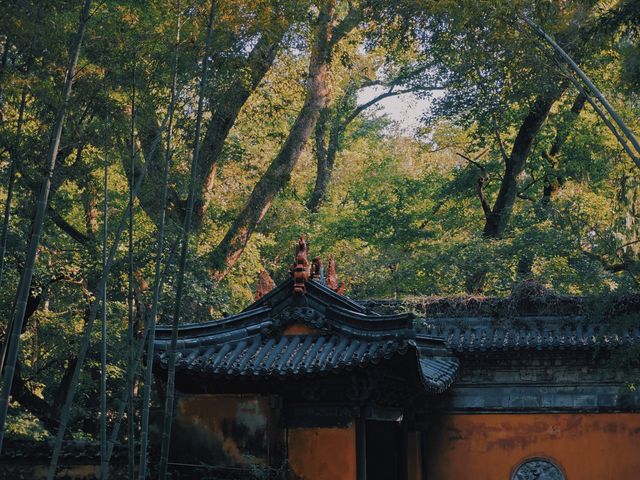 國清寺｜寺若成，國則清