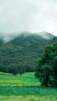昆明周邊徒步攻略14——尋甸鳳龍山 煙雨矇矇的天氣，在鳳龍山脊徒步也很不錯啊，不過是披上雨衣，走向荒野罷了，還未枯黃的草原，山間彌漫的雨霧，多出了一份別樣的氛圍靜謐感