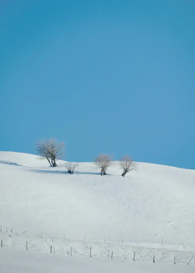 すみません、アルタイ、この波は私がクルドニングに立っています