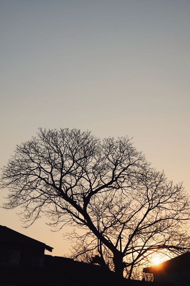 發現上海｜0℃來倉城刷街，凍的不要不要的
