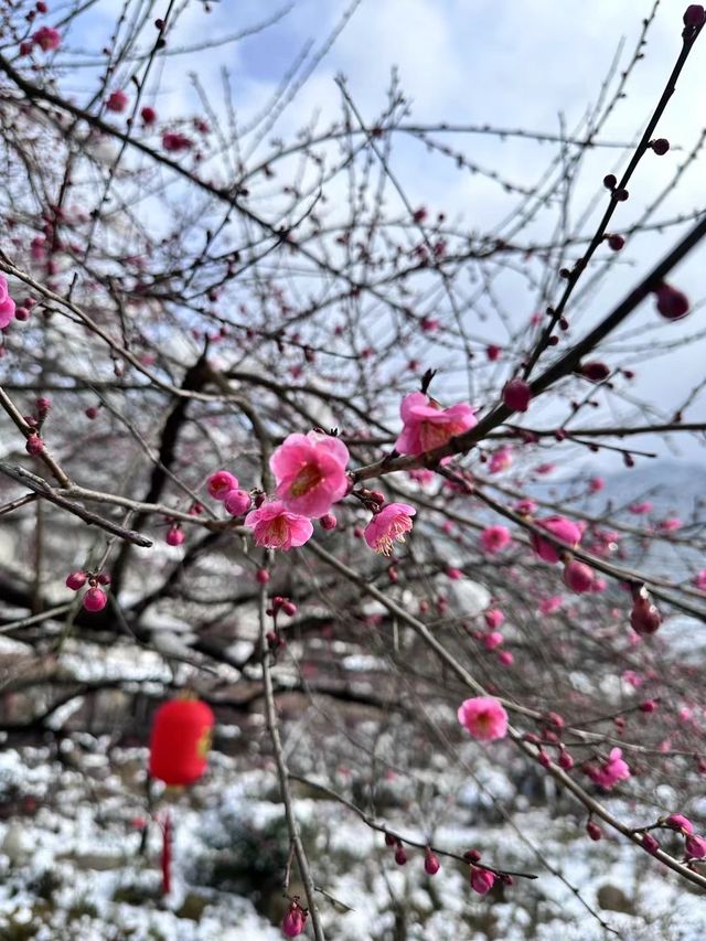 江西葛仙｜年味與仙氣加持，春節旅行目的地+1