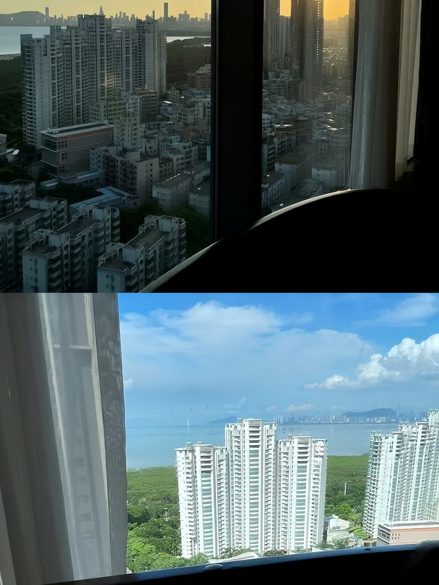 深圳 來深圳！！？