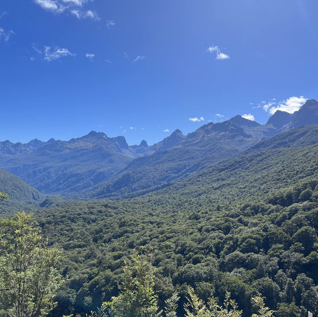 A Taste of the Enchanting Fiordland!