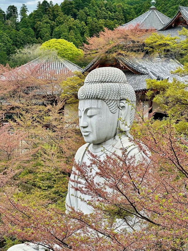 吉野山，三萬株櫻花綻放的浪漫