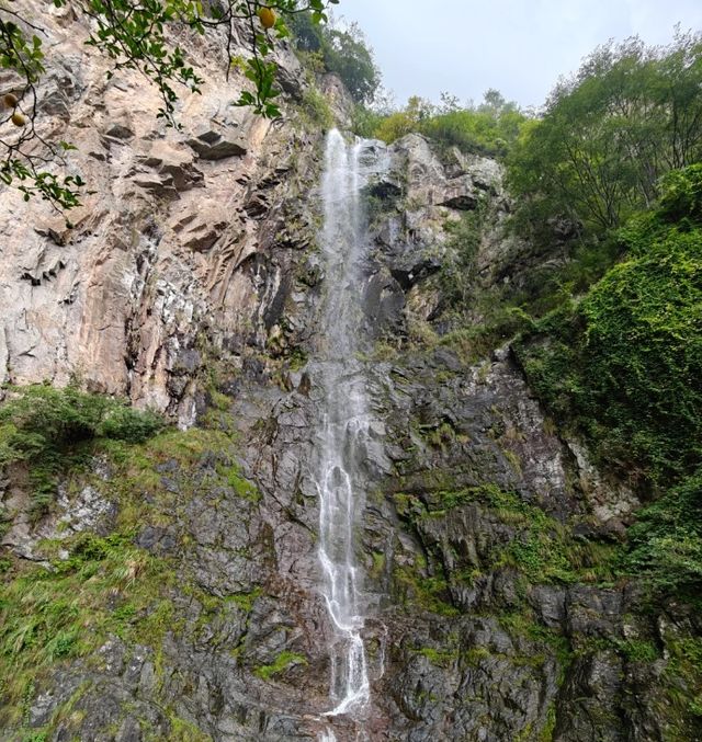 發現了浙江一處傳統村落，藏著建築之代表