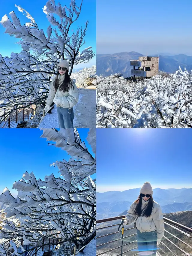 ภูเขานกกระเรียนฮันโจวตื่นเช้าไปปีนเขาดูฟรอสต์ที่สวยงาม