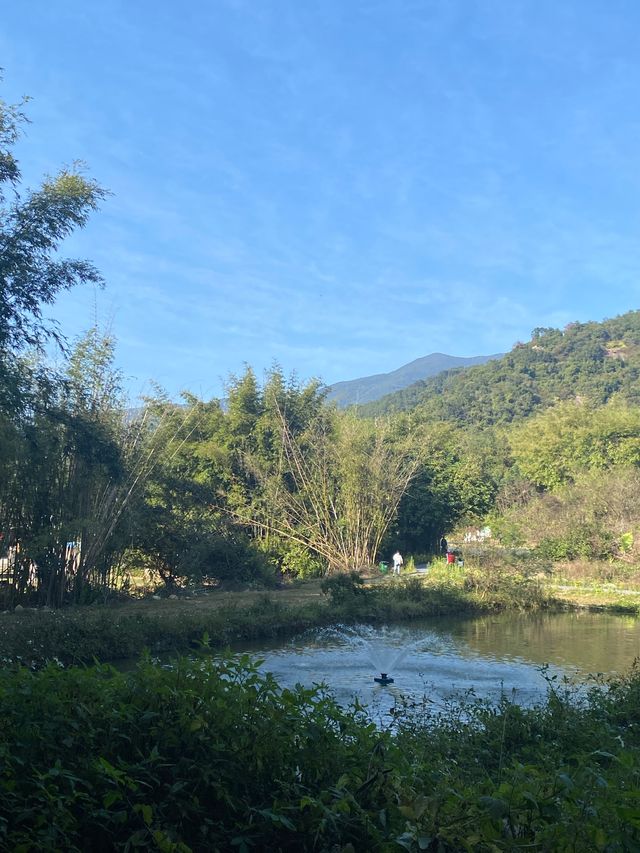 不需要去雲南惠州羅浮山下的蘭門村就有你要的田園詩意