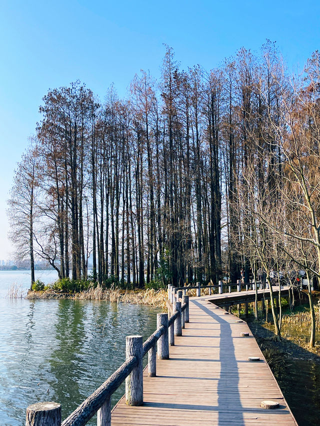 武漢旅行｜東湖落雁景區經典拍照攻略