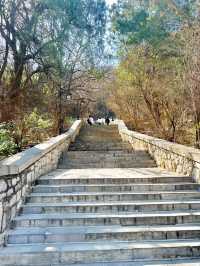 濟南旅遊聖地旅遊攻略詳細介紹