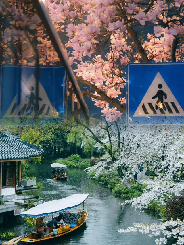 Not just cherry blossoms! Hangzhou's 18 treasure spots for spring flower viewing are waiting for you~