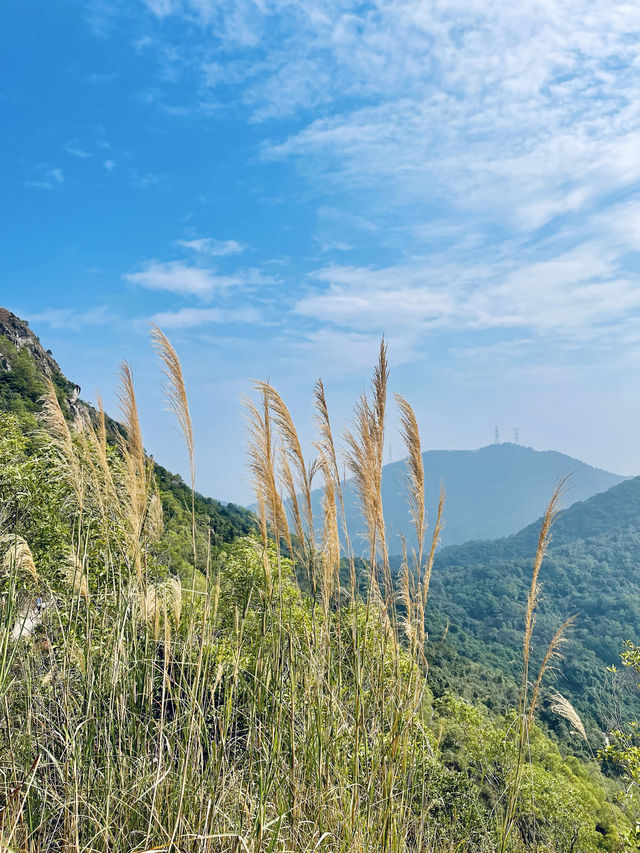 中山市神灣丫髻山一日遊；自駕+徒步+吃喝，好玩