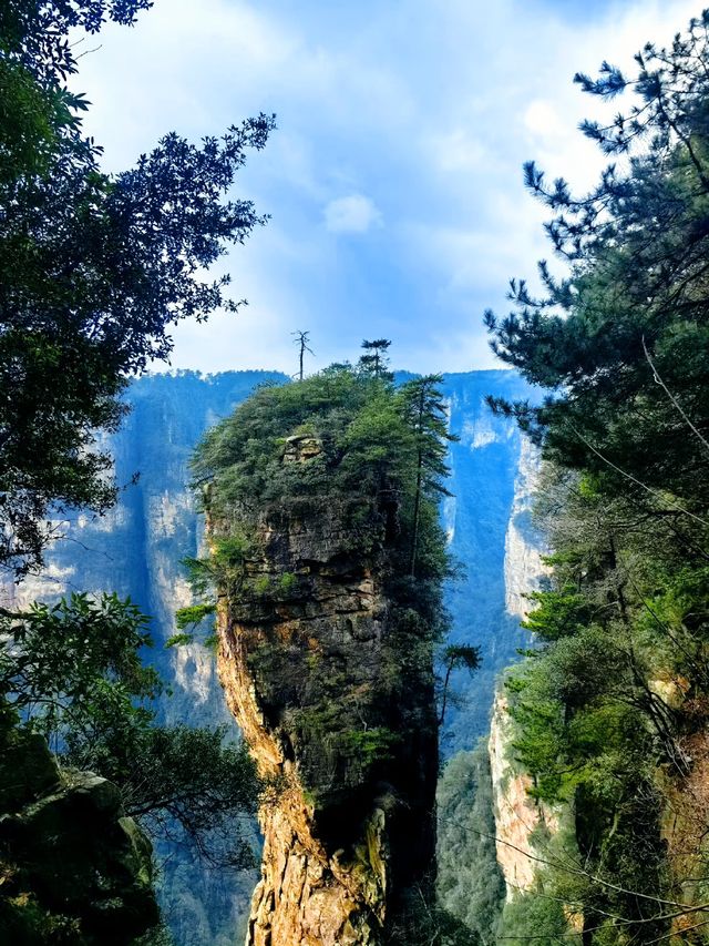 走進張家界國家森林公園，醉了心，養了眼！