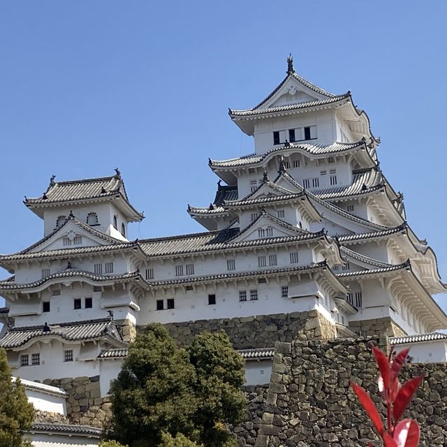 Magical Himeji castle