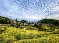 全球追秋｜杭州指南村遇見美麗秋景