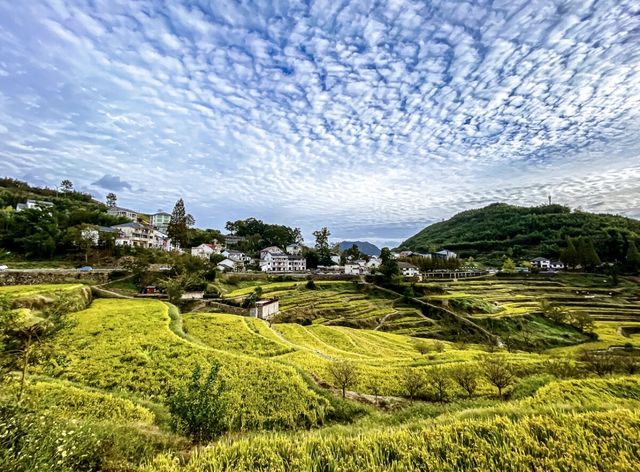 全球追秋｜杭州指南村遇見美麗秋景