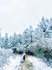 不是北海道去不起，而是重慶仙女山更有性價比