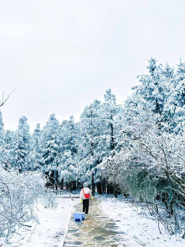 不是北海道去不起，而是重慶仙女山更有性價比