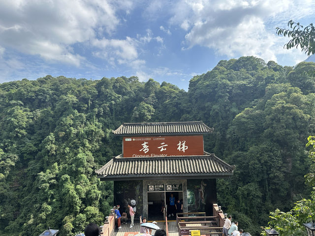 雅安碧峰峽風景區二日遊