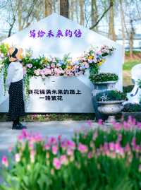 莫奈花園走進現實！在上海狂拍1000張！