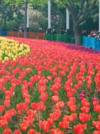 秦皇島新世紀公園&植物園|