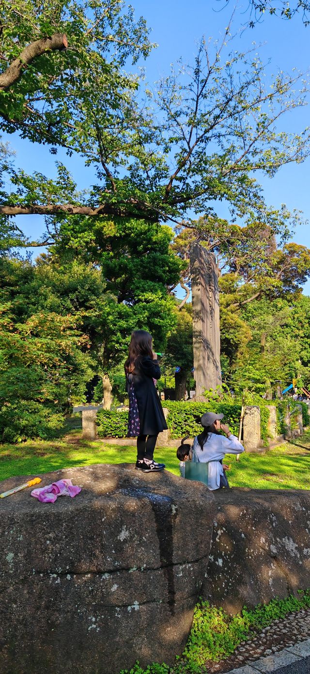 【夏日東京綠】黃昏時的飛鳥山公園，一派金色抹茶綠～