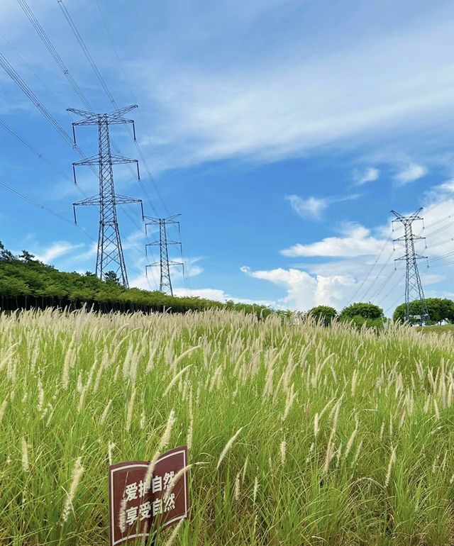 天啦噜!!又到了這個公園最美的季節別錯過來到這裡 天啦噜!!又到了這個公園最美的季節別錯過來到這裡