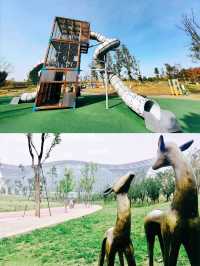 成都免費遛娃好去處桂溪生態公園西區