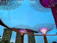 OCBC Skyway | 新加坡濱海灣花園空中步道