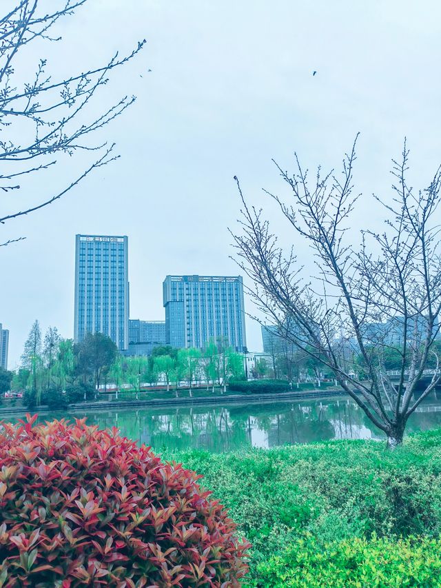 京杭大運河流過嘉興，織成一條華麗的彩帶