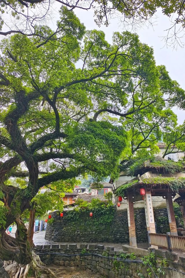 天青色等煙雨，黃姚古鎮在等你