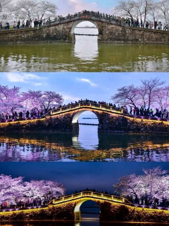 The Taihu Lake Yuantouzhu Scenic Sight🌸🇨🇳