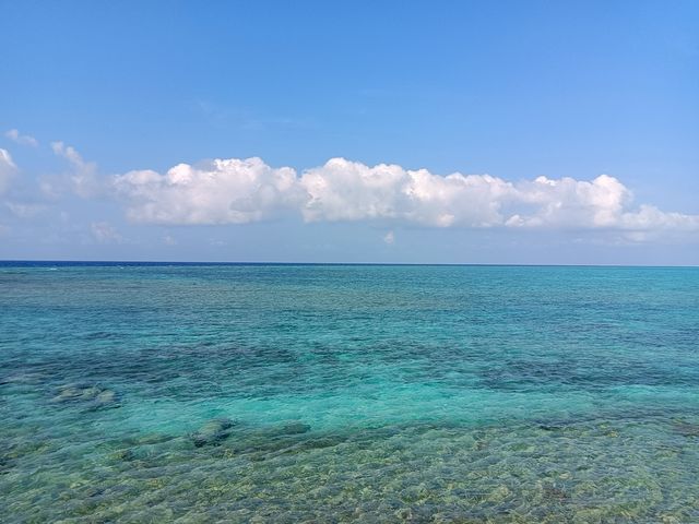 西沙羚羊礁 西沙羚羊礁