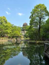 璧山秀湖公園｜常來常新的一個自然系公園