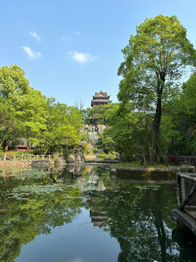 璧山秀湖公園｜常來常新的一個自然系公園