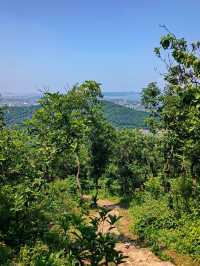 踏青出遊，享受山巔的風景