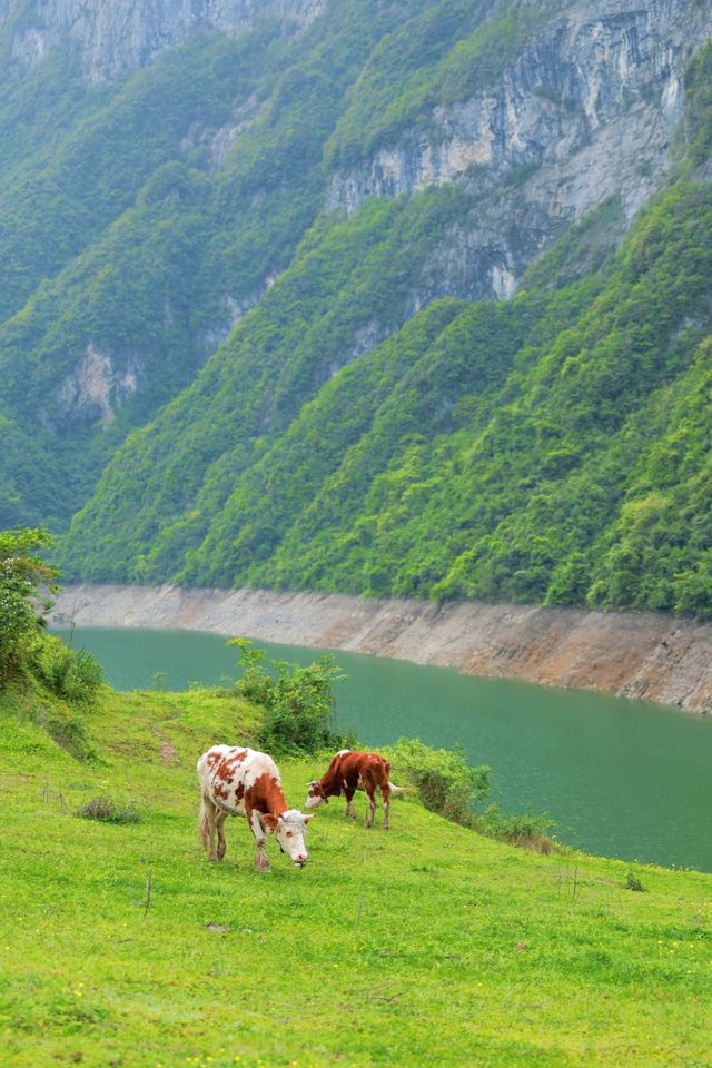 大自然美景～