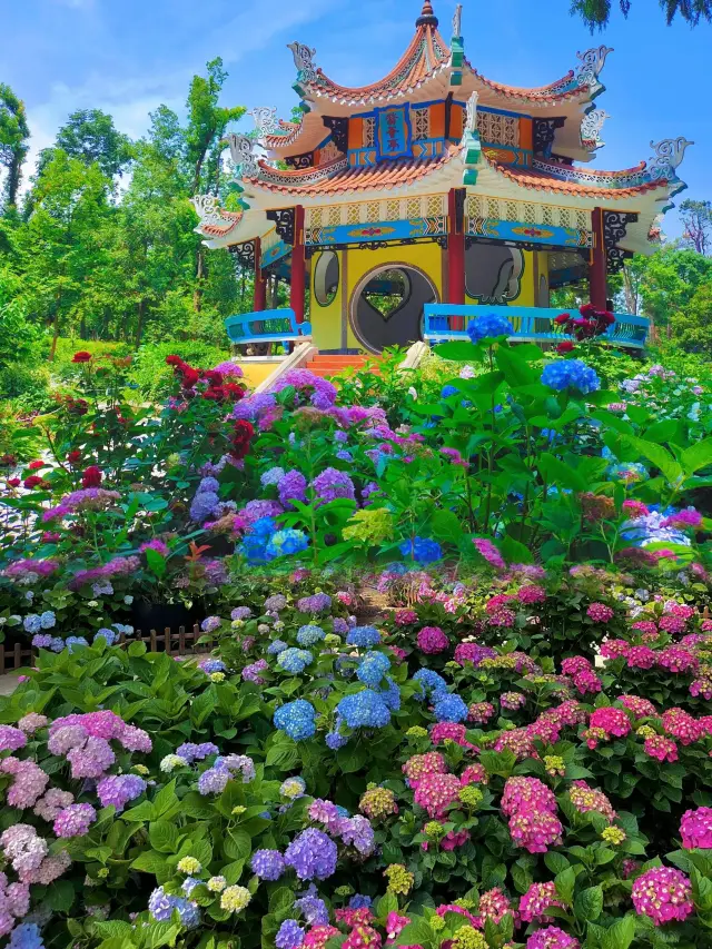 The Emerald City hidden in Wuhan Botanical Garden, an appointment with the beginning of summer