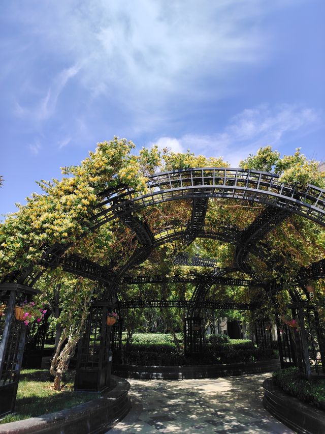 莫奈花園，拍照聖地！！