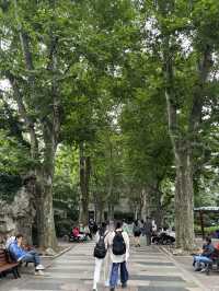 在繁華的靜安寺商圈，靜安公園是一塊珍貴的綠地