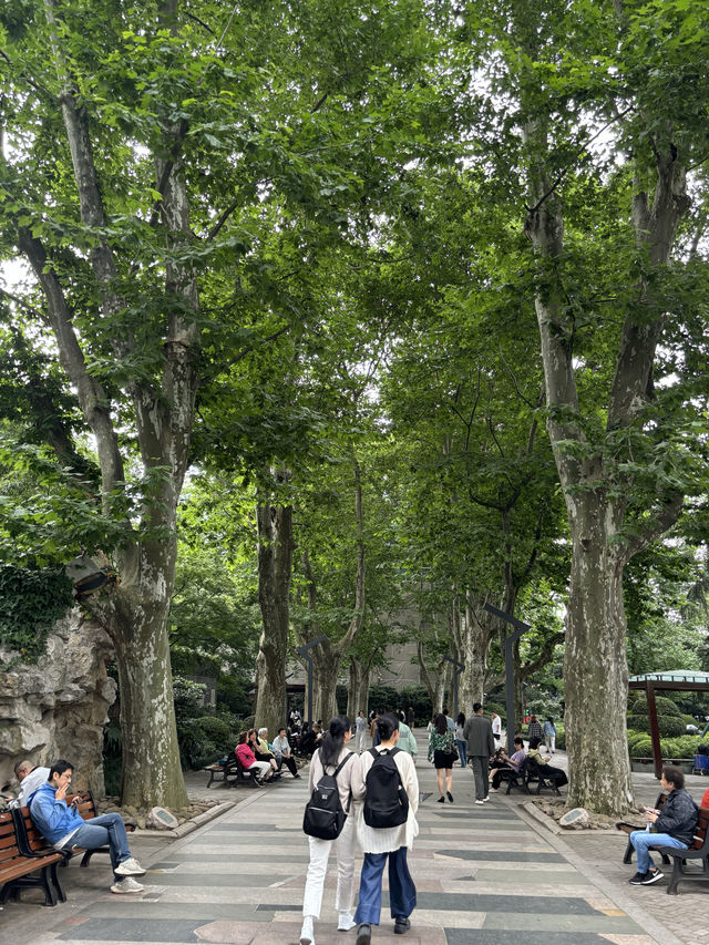 在繁華的靜安寺商圈，靜安公園是一塊珍貴的綠地