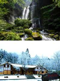 記住鄉愁的空山天盆