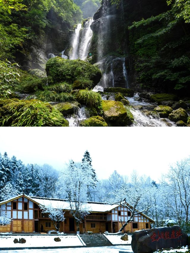 記住鄉愁的空山天盆