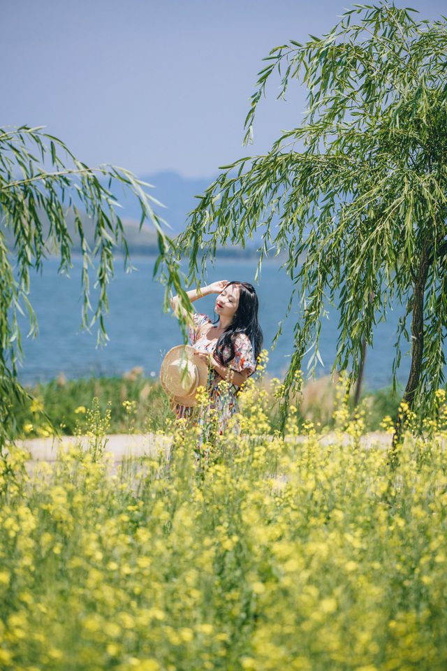 京郊自駕｜這裡有「藍色大海與66號公路」