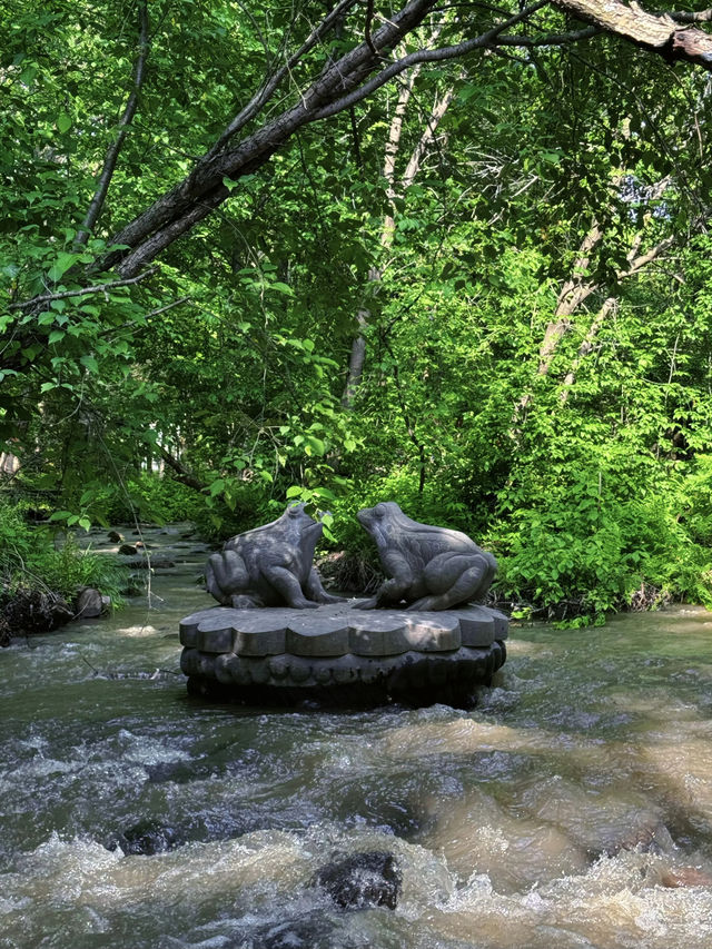 哈爾濱金龍山|夏天一起擱山裡吸氧吧